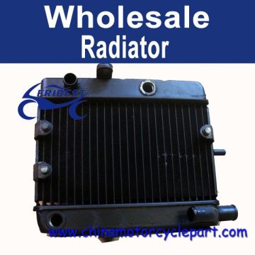 For Yamaha YP250 New Radiator FRDYA011