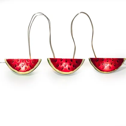 Copper Wire LED Lights for Home Decorations