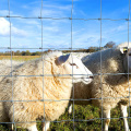 Clôture de bétail de chèvre de mouton 50m Veldspan Fence Fence