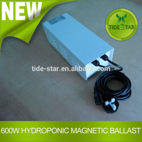 600w Hydroponics Ballast For Grow Light Indoor Plant Growth