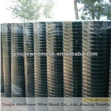 3/8" pvc coated welded wire mesh (20 years of manufacturer)