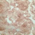 Ricamo in cordoncino di piccoli fiori