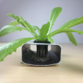 Hydroponic Net Pots Mesh Cup Plants Basket