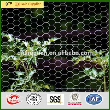 Aviary fence 50mm holes, electric galvanized netting fence for rabbit