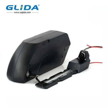 Electric Bike Lithium Battery 48V 15Ah