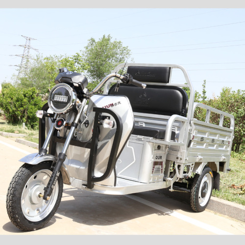 3 Wheel Family High Quality Cargo Electric Tricycle