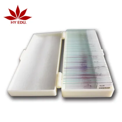 Microscope Slide Kit: Fungi and Bacteria for Higher Education