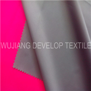 370t Micro Polyester Pongee Fabric with PA Down Proof Function Coating (DT3107)