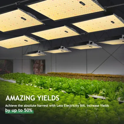 Spectrafarm LED Warehouse: Germany's Premier Grow Light Source with WiFi PWM Quantum Controller