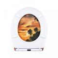 Duroplast Toilet Seat Soft Close (nightfall)