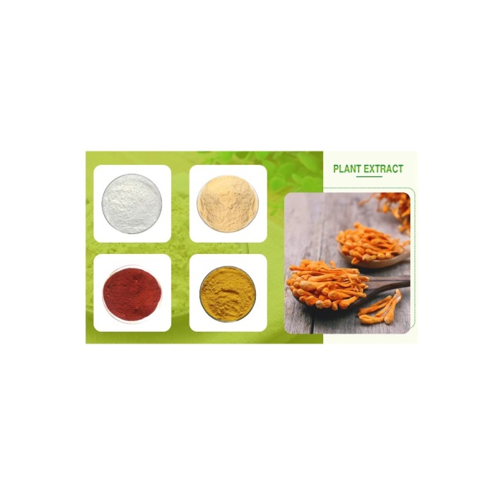 High-Potency Curcumin Powder for Supplements