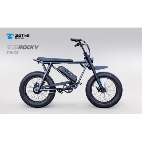 Electric Moto Bike Electric bicycle for adult Rocky Factory