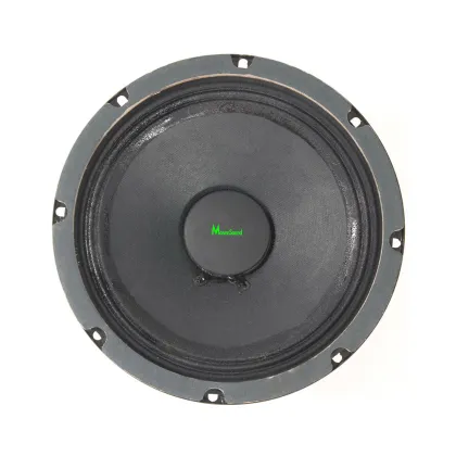 Best High Power Home KTV Midrange Speaker
