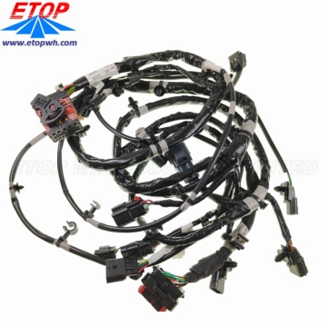 Custom Complex Auto Wire Harness Assembly