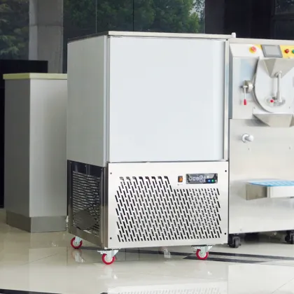 PROSKY 304 Stainless Steel Modular Shock Freezer - Home Kitchenaid Blast Chiller Machinery
