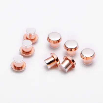 High Quality Relay Electrical Contact Rivets - Trimetal Silver Contact Rivets for Automotive Electric Appliances