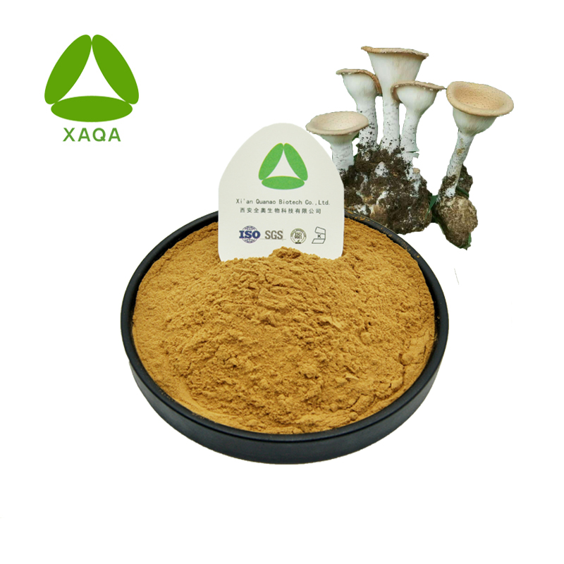 Pleurotus Tuber-regium Extract Polysaccharides 10% Powder