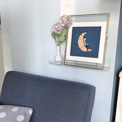 Clear Acrylic Wall Mount Vinyl Record Shelf Organizer