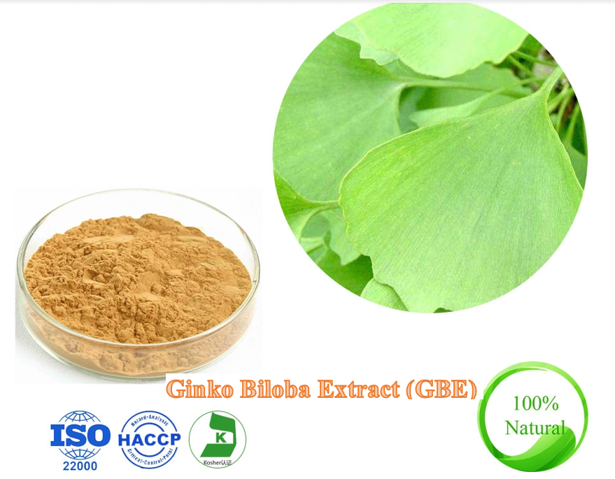 Ginko Biloba Extract (GBE) 