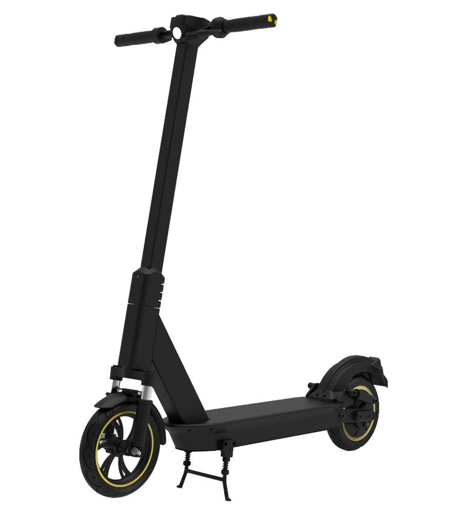 Rented Electric Scooters 3