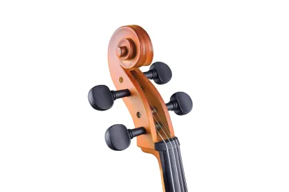 Tayste Quality Maple Cello 4/4