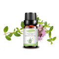Bulk Wholesale factory Thyme essential Oil for body