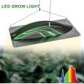 High PPFD LED Grow Lights Plants Greenhouse Panel