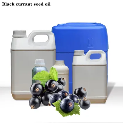Pure And Natural Black Currant Oil For Skin Hair