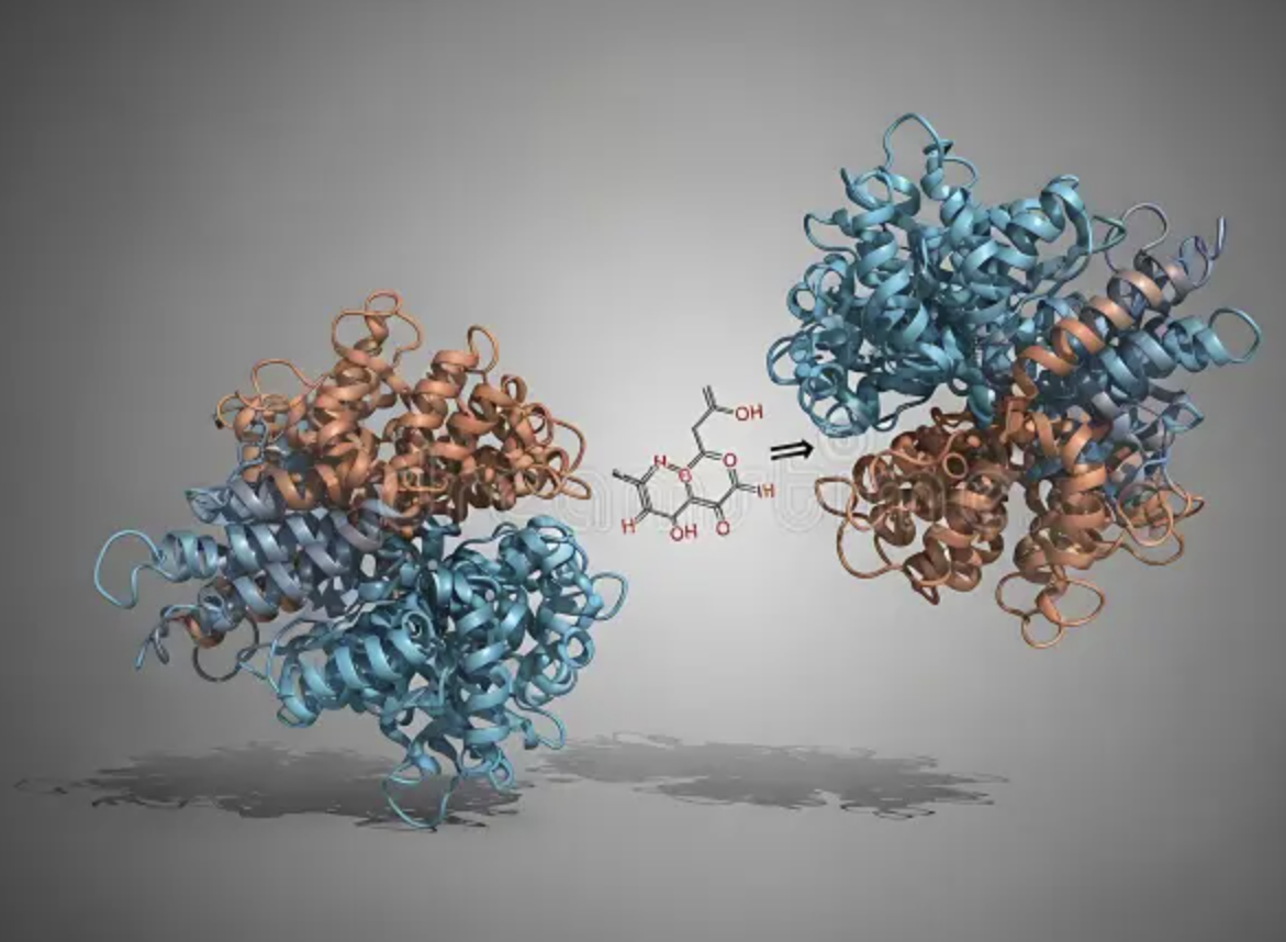 High Activity Compound Enzyme