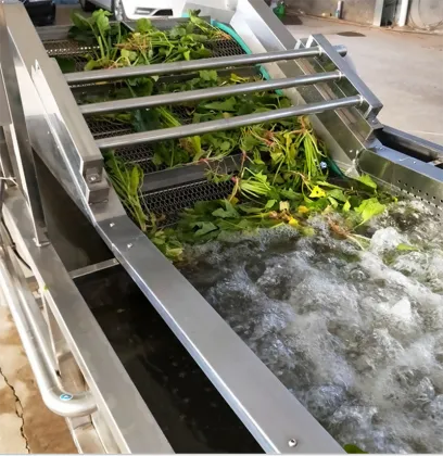Ultrasonic Leafy Vegetable Washing Machine