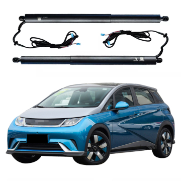 Electric Tailgate Lift for BYD DOLPHIN 2022-2023