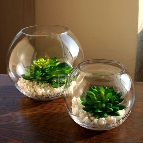 Custom Mini Clear Round Glass Vase Flower Topf