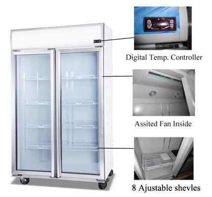 commercial glass door showcase cold drink freezer LD-1000M2/W