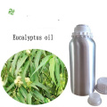 Fashion Eucalyptus Essential Oil Wholesale for scented air machine