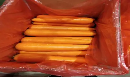 fresh vegetables fresh carrot