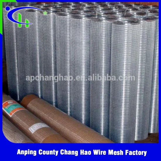 Most popular products China ss material anping welded mesh alibaba .de