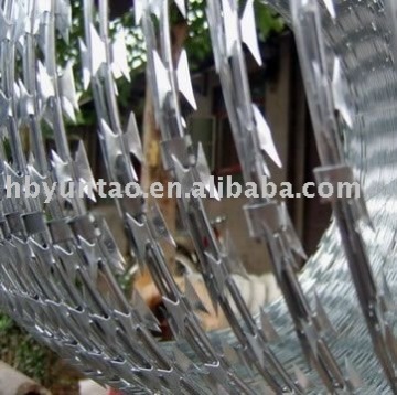 The various types Concertina Razor Wire Fencing (China Factory