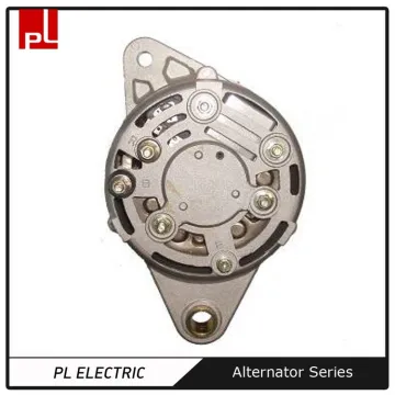 ZJPL24V 40A permanent magnet generator/alternator