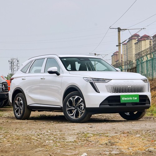 Mid size car haval xiaolong max