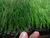 artificial grass with green/black yarn,Hot Sale!!!