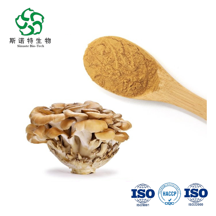 Maitake Mushroom Extract Grifola Frondosa Powder
