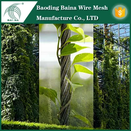 High quality stainless steel fence for climbing walls plants