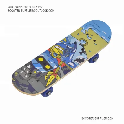 Adult Long Board Skateboard1705