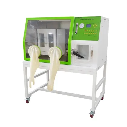 NANBEI Laboratory Chamber Anaerobic Incubator