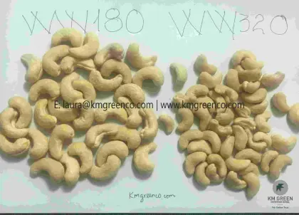 Vietnamese Cashew Nut Kernels WW320。