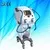 Professional Hair Removal E-light Beauty equiment