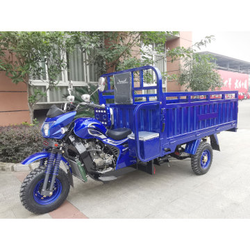 Triciclo padrão para transporte eficaz de carga