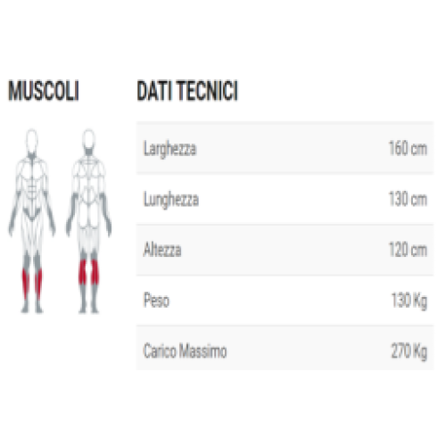 Plate Loaded Super Seated Calf Machine