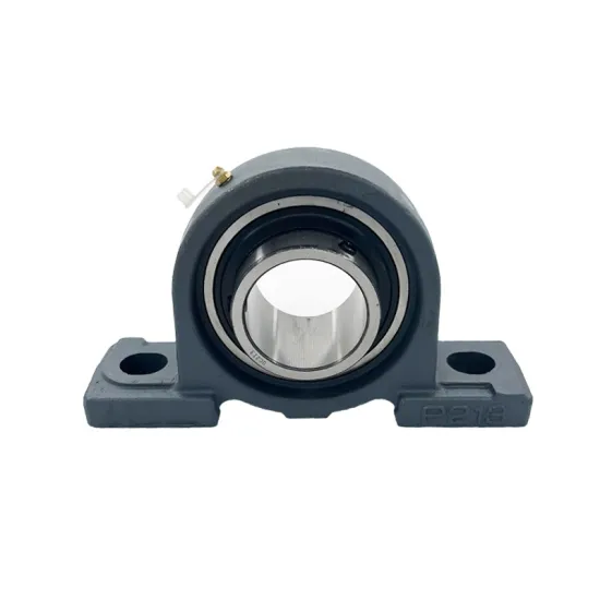 Wholesale Custom Size Mounted Ball Units for JXL UCP213H Pillow Block Bearing with Cast Iron Housing - P213