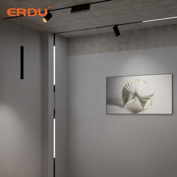 ERDU Lighting Gallery: Adjustable LED Track Light for Commercial Decorative Focus